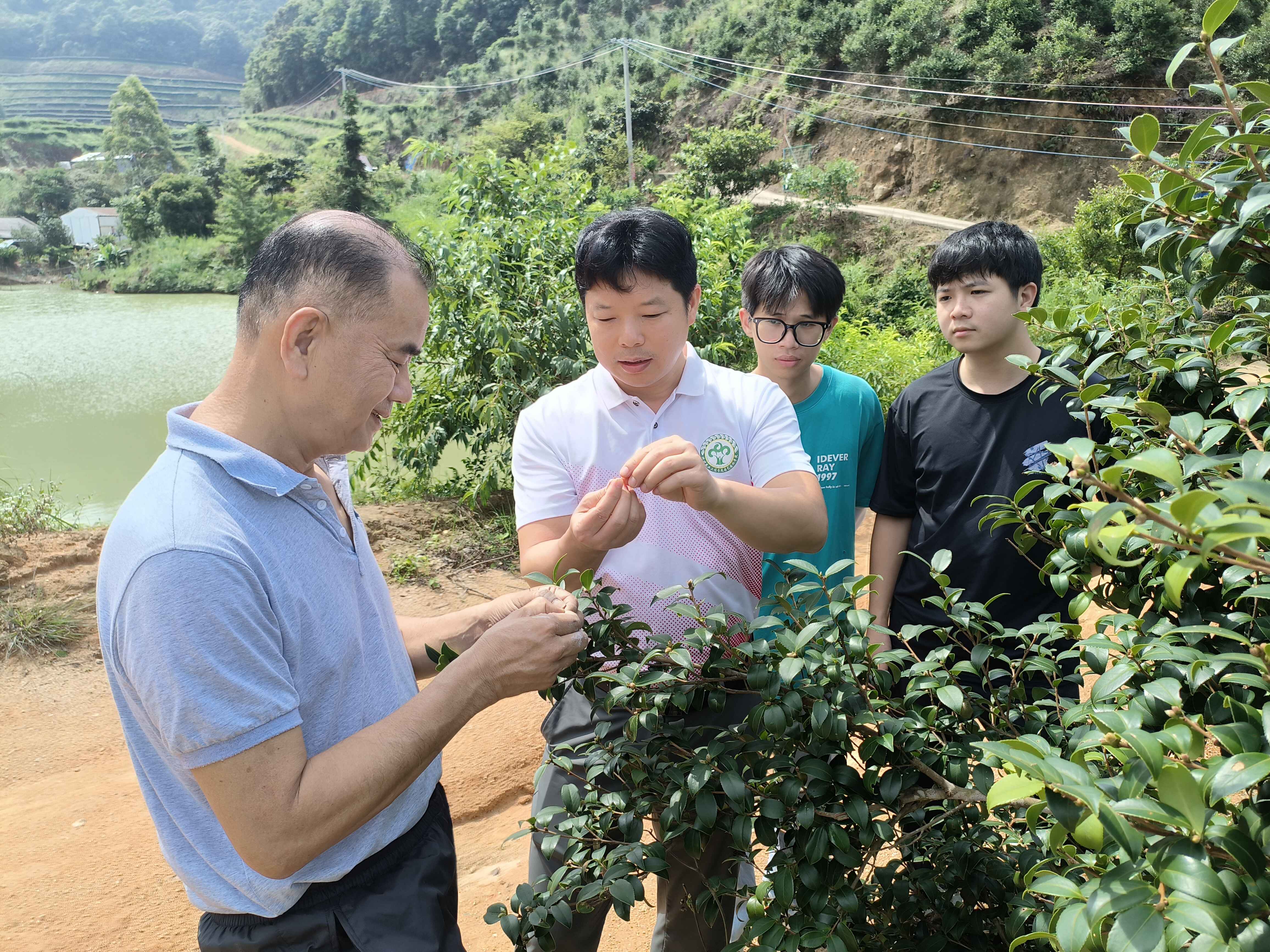 专家油茶团队深入各地开展科技服务（通讯员供图）