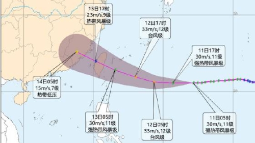 杨柳台风