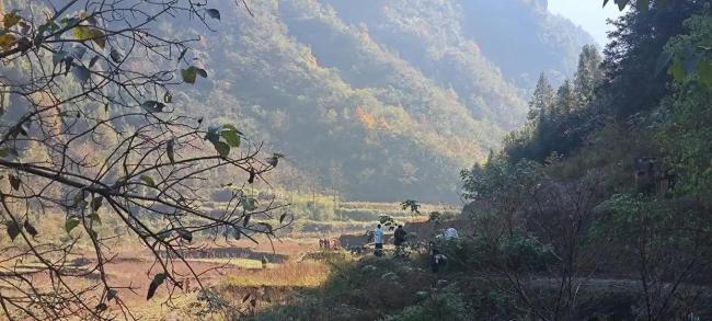 荒野求生决赛规则重大调整