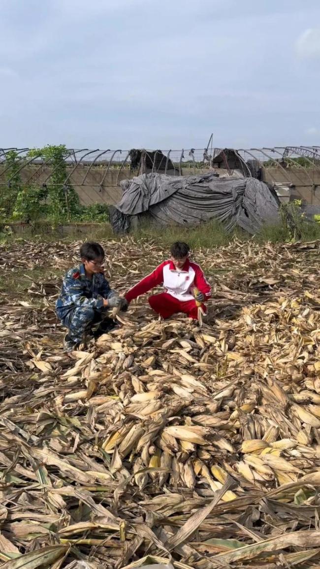 我多弯一次腰父母少吃一点苦