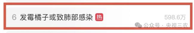 一个发霉橘子卖500元？家里剩的还扔不扔