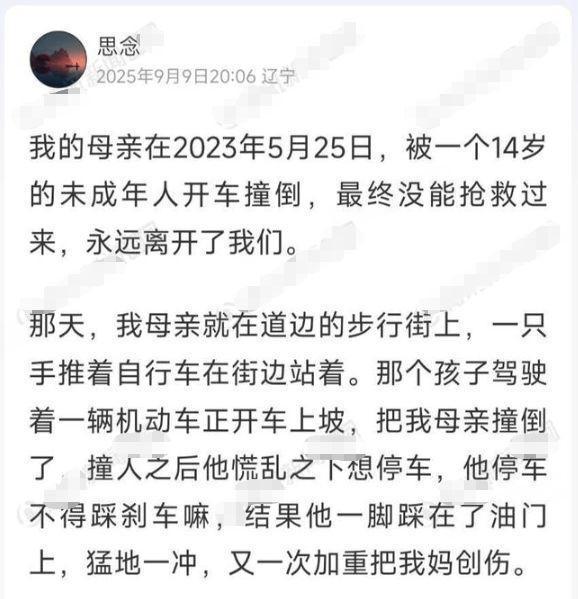 60岁母亲被14岁少年驾车撞亡