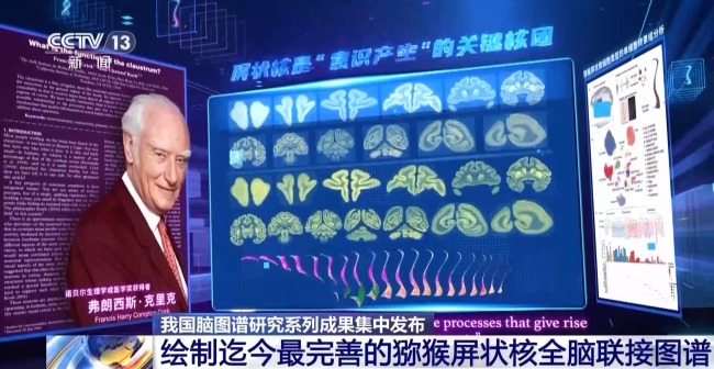 我国脑图谱研究系列成果集中发布