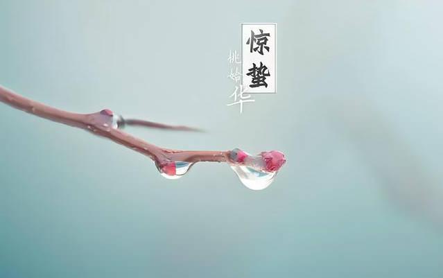 “雨水多不多，就看惊蛰”，啥意思？