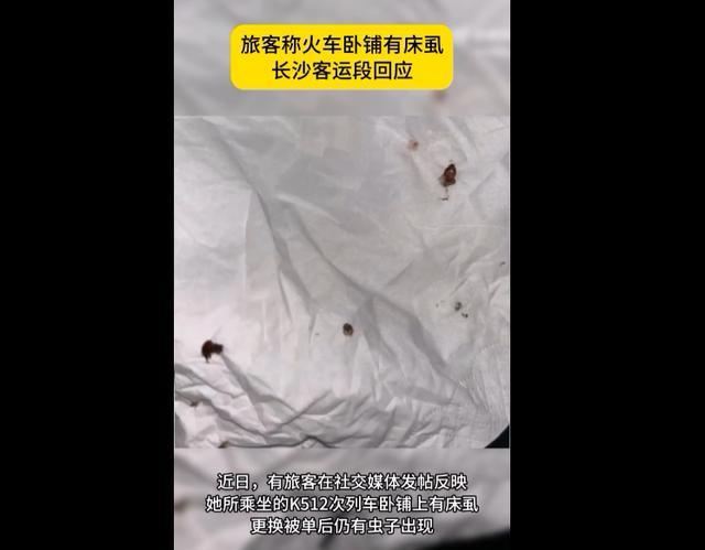 列车卧铺 床虱