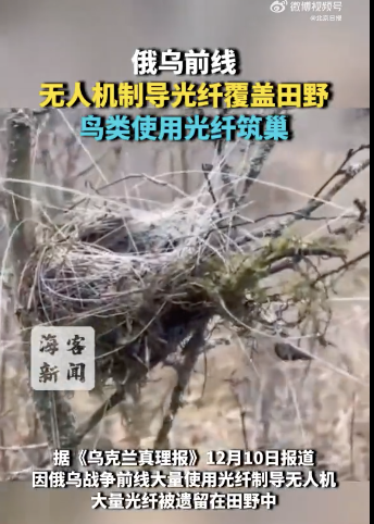 俄乌前线现光纤鸟巢