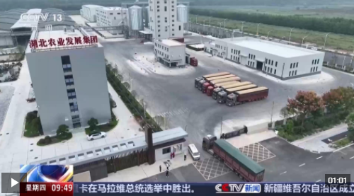 粮食住进“好房子” 好模式助增收!各地保障秋收有“粮”方 粮食住进“好房子” 好模式助增收!各地保障秋收有“粮”方