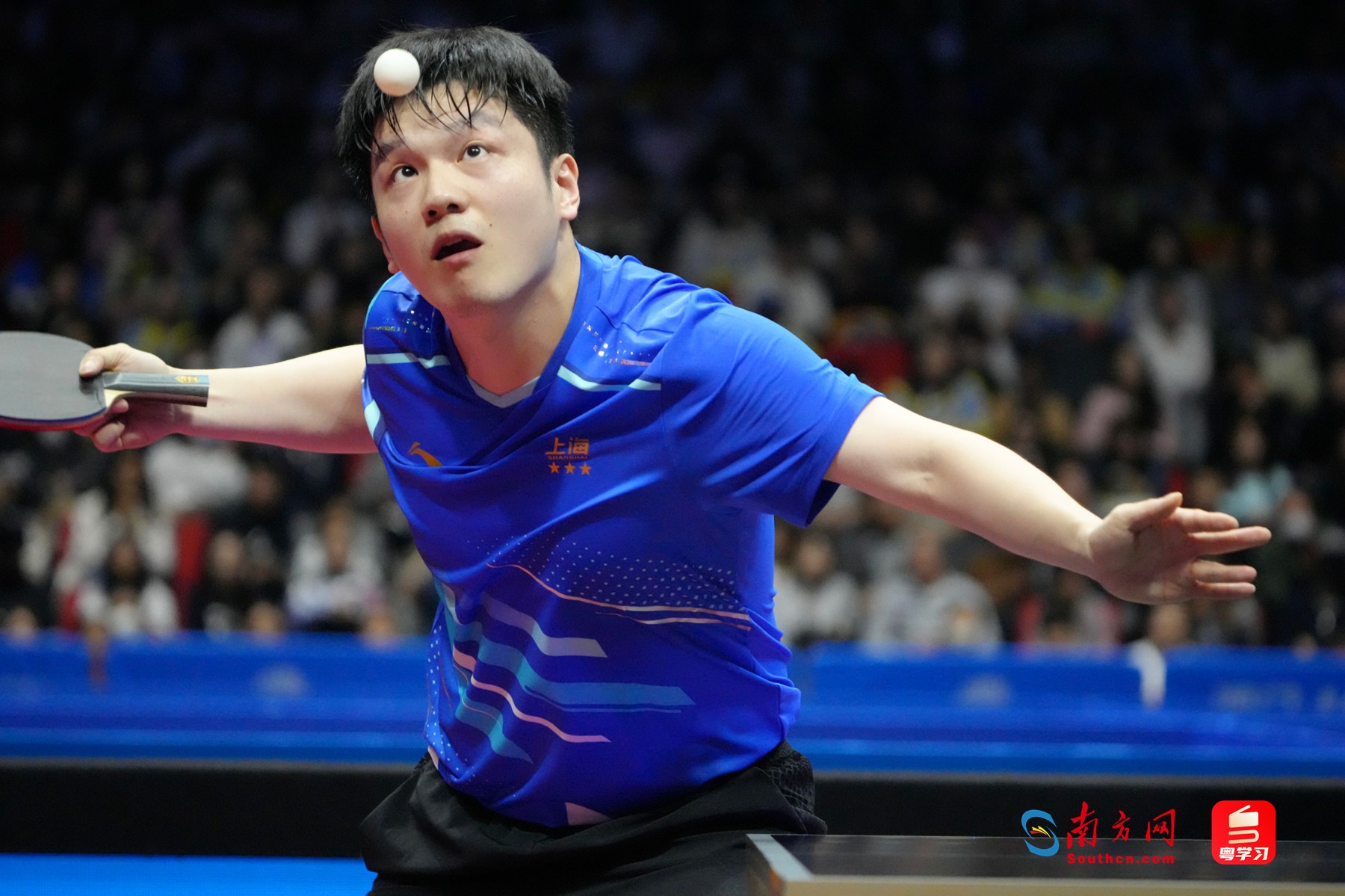 樊振东在比赛中发球。南方网记者 张瑞霖 摄