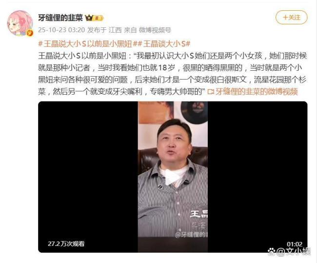 王晶说大小S以前是小黑妞 姐妹俩的蜕变之路