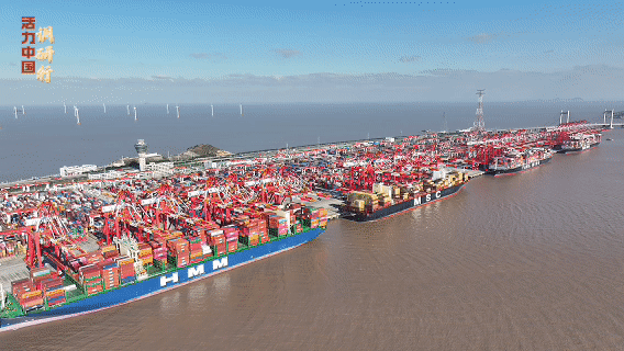 活力中国调研行丨降低物流成本，这个模式助力长三角外贸提速！