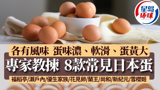 鸡蛋 鸡蛋