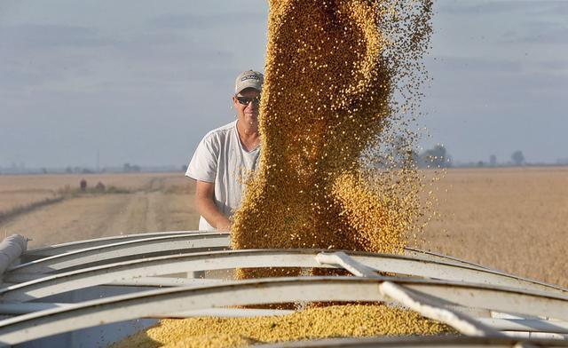 美国大豆卖不出去 农场破产创新高