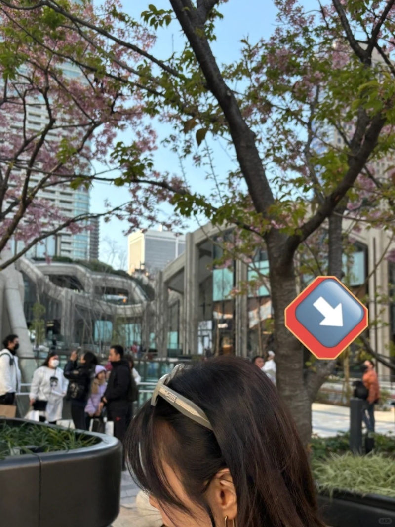 网友 网友