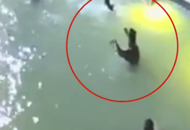 印度一男子泳池派对溺水身亡：在水中扑腾试图自救近2分钟