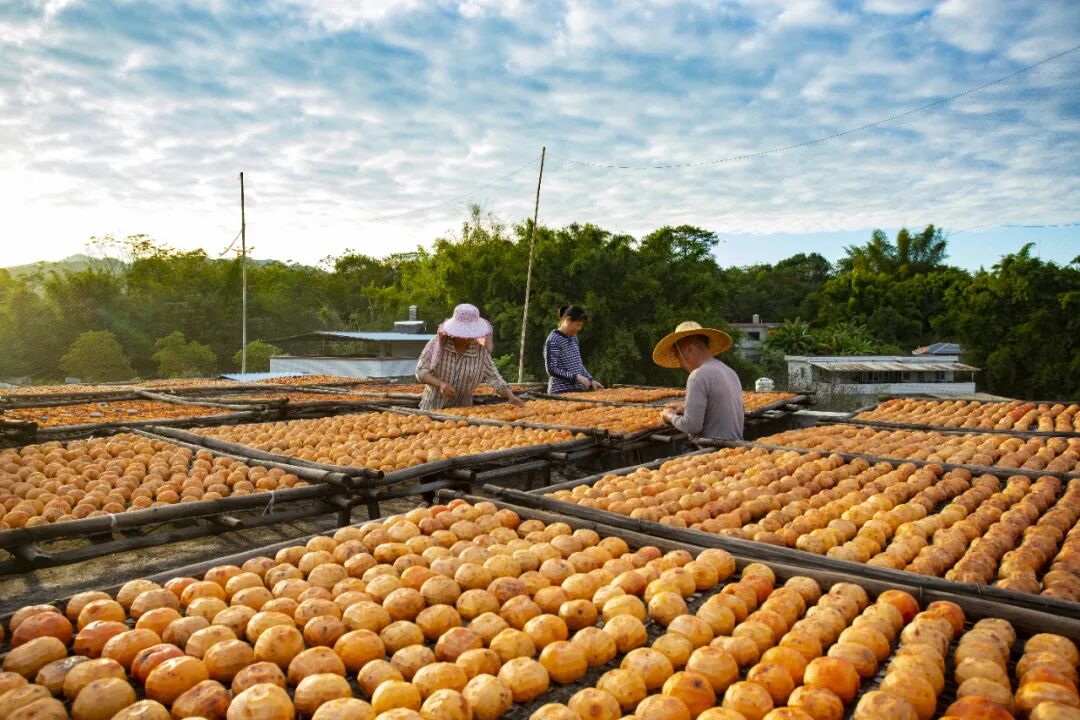 8年攻坚，5年巩固，近1亿人稳定脱贫，中国为什么能？