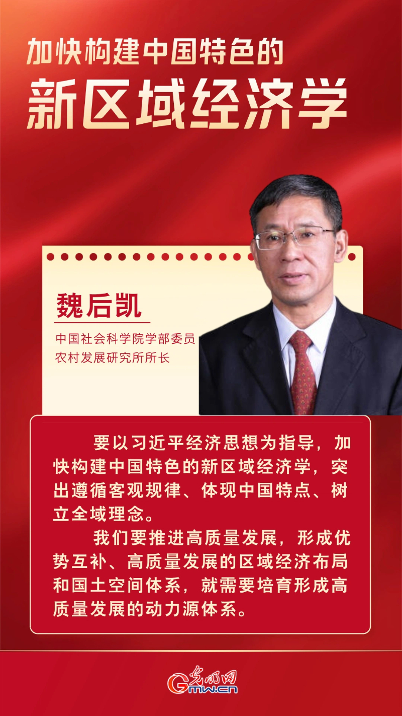 经济光明论丨魏后凯:加快构建中国特色的新区域经济学 经济光明论丨魏后凯:加快构建中国特色的新区域经济学