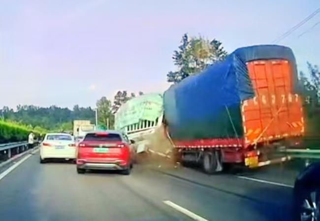 9万买的汗血宝马在追尾事故中死亡