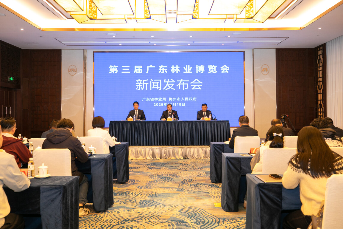 发布会现场（通讯员供图）