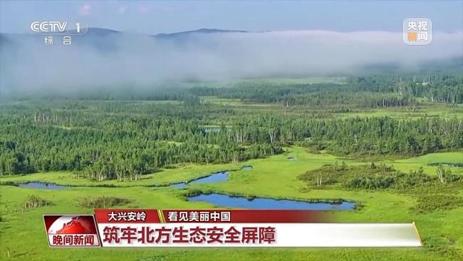 停伐十年 看“绿色宝库”大兴安岭的转型路→