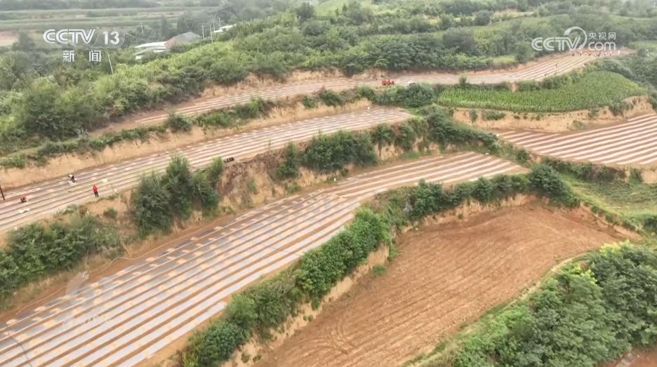 焦点访谈｜攥紧农业“芯片” 提稳中国“菜篮子”