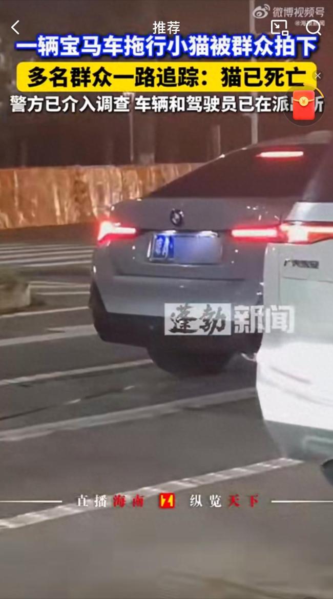 海口公安回应车辆拖行小猫