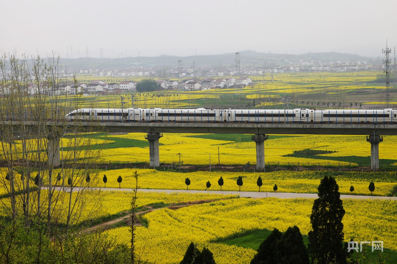 发现最美铁路丨铁龙穿梭，织就粤东最美画卷