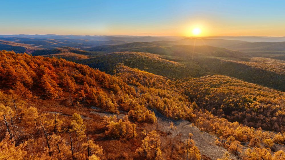 新华鲜报·“十四五”发展亮点｜中国“调色盘”增新绿！森林覆盖率超25%