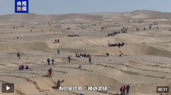 锁边扩绿正当时 新疆且末6000余亩树苗扎根塔克拉玛干沙漠 锁边扩绿正当时 新疆且末6000余亩树苗扎根塔克拉玛干沙漠