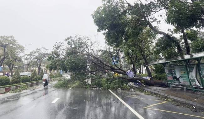 “博罗依”登陆越南后已造成19人死亡21人失踪