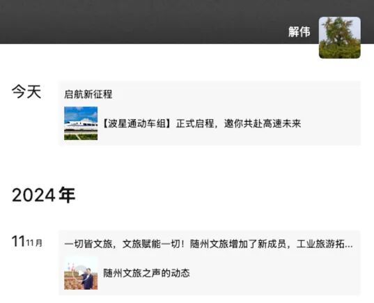 网红局长解伟提前退休入职民企