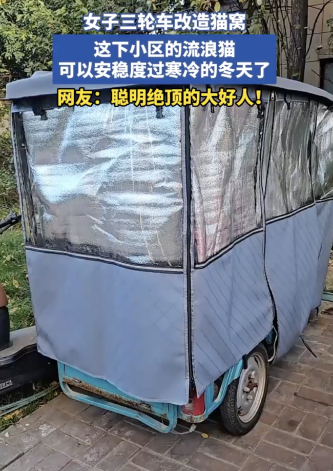 女子买三轮车为流浪猫搭建暖心冬舍