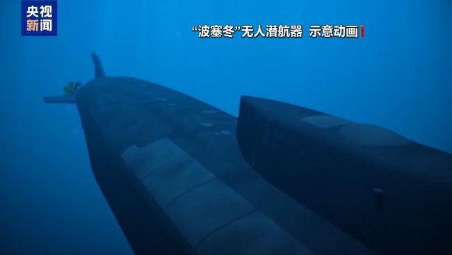 普京：装备 海燕 和 波塞冬 可保数十年战略平衡