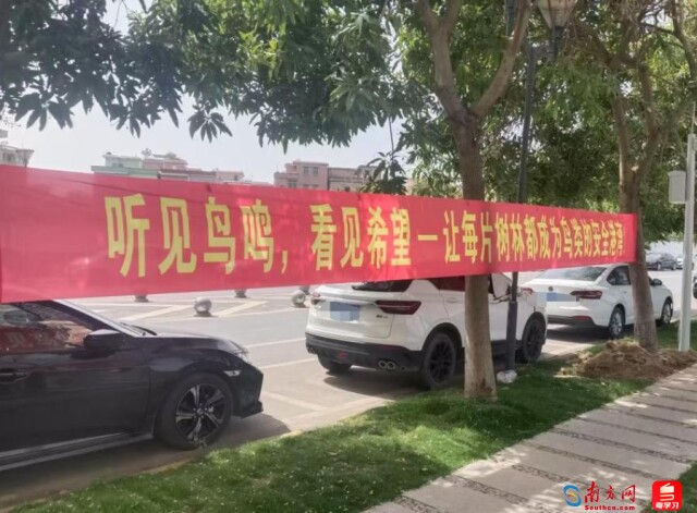 人和镇在流溪河绿道沿线增设主题横幅，通讯员供图。