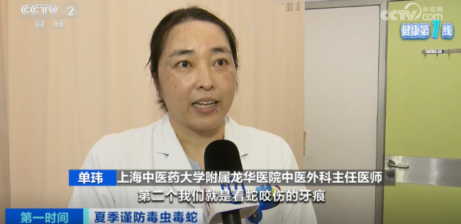 上海医院接诊蛇咬伤事件增多 如何辨别是否为毒蛇
