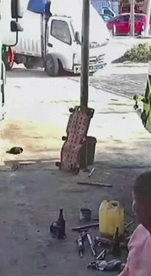 老板家中坐一轮胎突然闯进来