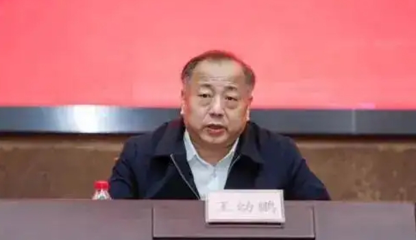 王幼鹏 王幼鹏