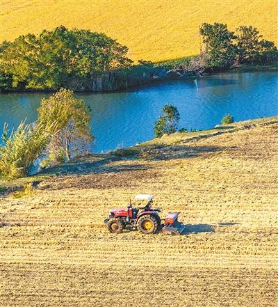 全国冬小麦播种过九成