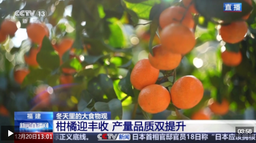 ��Ƶح���Ƽ������� �ִ�ũҵ�����á����١�����������