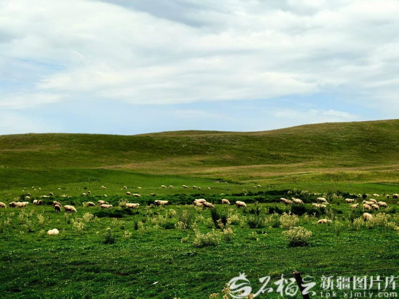 祖国大家庭的温暖丨牧区转型走出双赢路