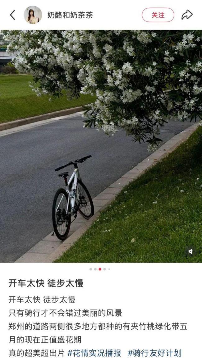 夹竹桃全株有毒千万别乱碰