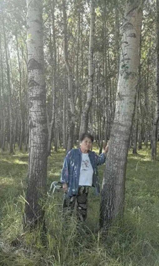 响应号召种树成材后被禁止采伐