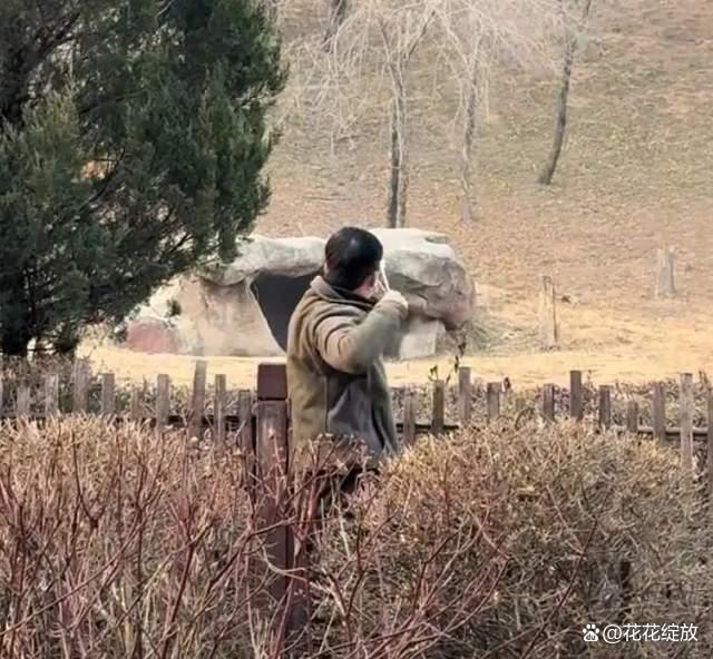 男子动物园挑逗老虎被咬 当地回应