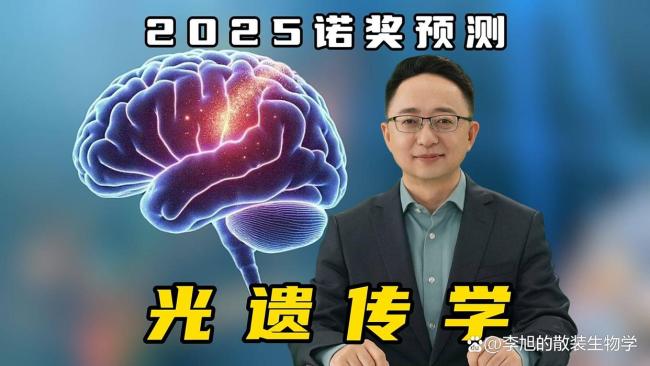 专家:光遗传学研究有望获诺奖