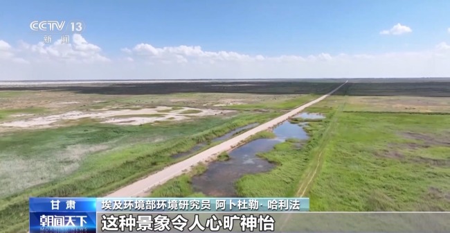 我国治沙有多牛?西北大漠变身“菜篮子”