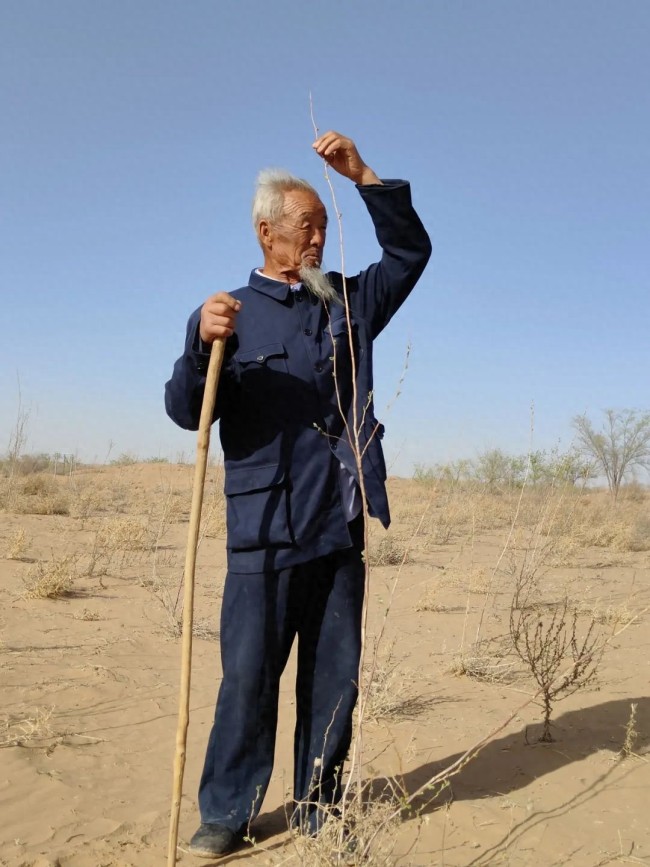 一家人住沙漠26年种出万亩绿