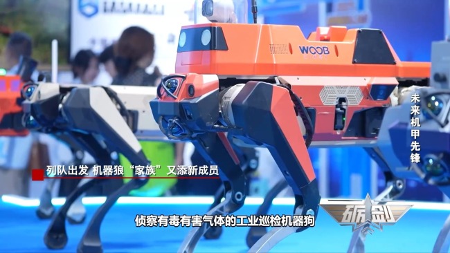长相高萌,行动高能!“机器狼”战群技能大揭秘