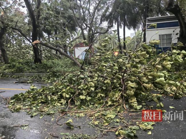 台风“蝴蝶”的压迫感!网友记录家门口海浪翻涌