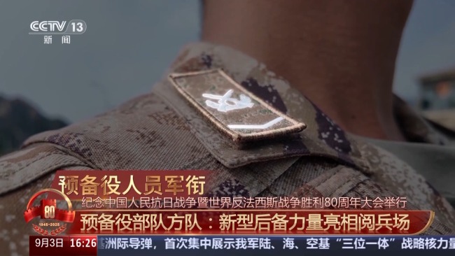 新型后备力量亮相！最齐全的军旗臂章 8大军兵种首次汇聚