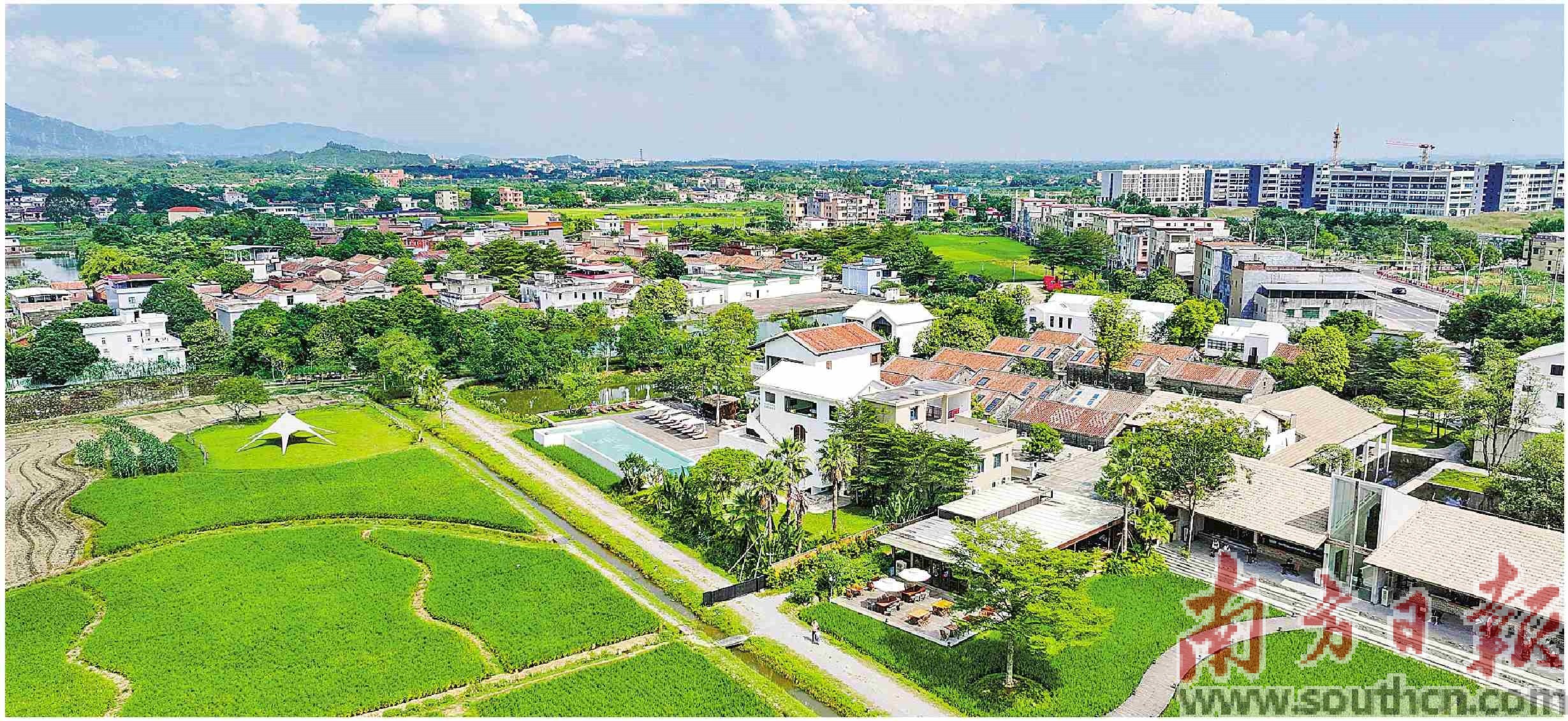 近年来,清远三坑镇三和村积极发展乡村旅游,从平平无奇的小村庄蝶变成有颜值的“民宿村”。 南方日报记者 曾亮超 摄