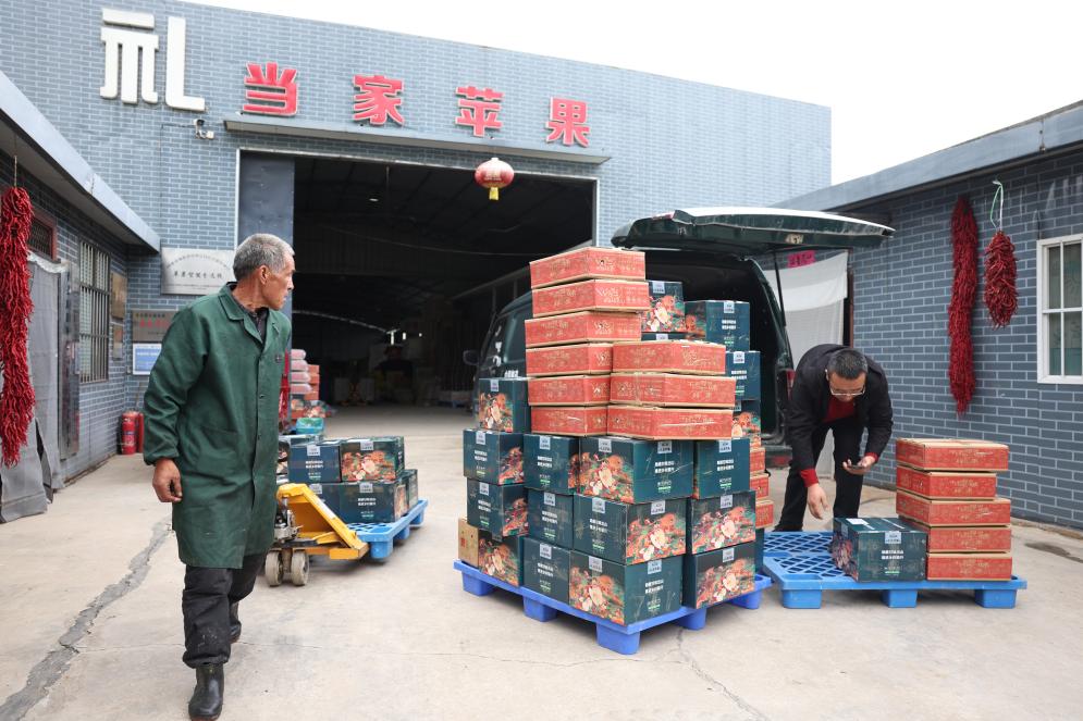 财经聚焦丨首次突破1800亿件!透视加速发展的“小包裹”背后